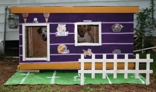 Rowdy and Captain - Louisiana